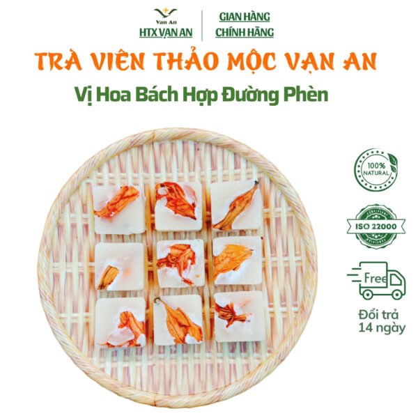 Trà hoa bách hợp Trà đường phèn mật ong, dưỡng da, ngủ ngon, thanh lọc giảm stress.